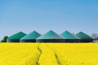 Biogas, ecco cosa non potete non sapere!